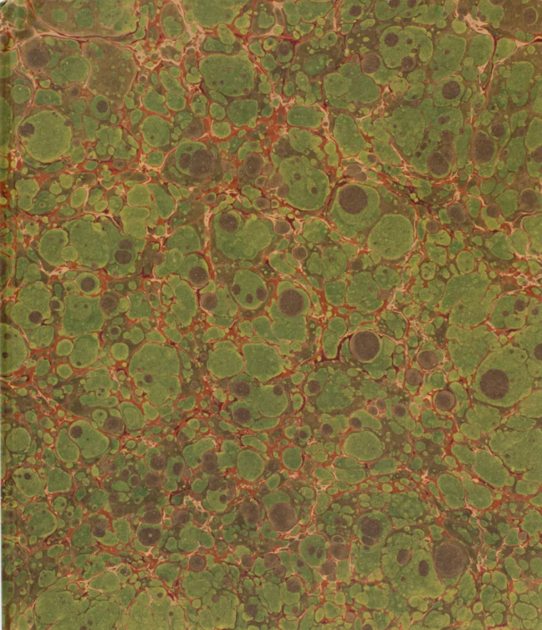 【サイン入】カラン・ハトルバーグ 写真集: CURRAN HATLEBERG: Blood Green