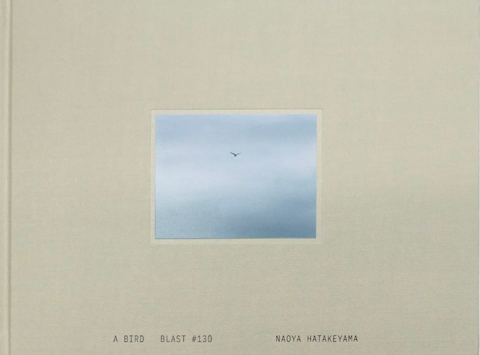 畠山直哉 写真集: Naoya Hatakeyama: A BIRD Blast #130