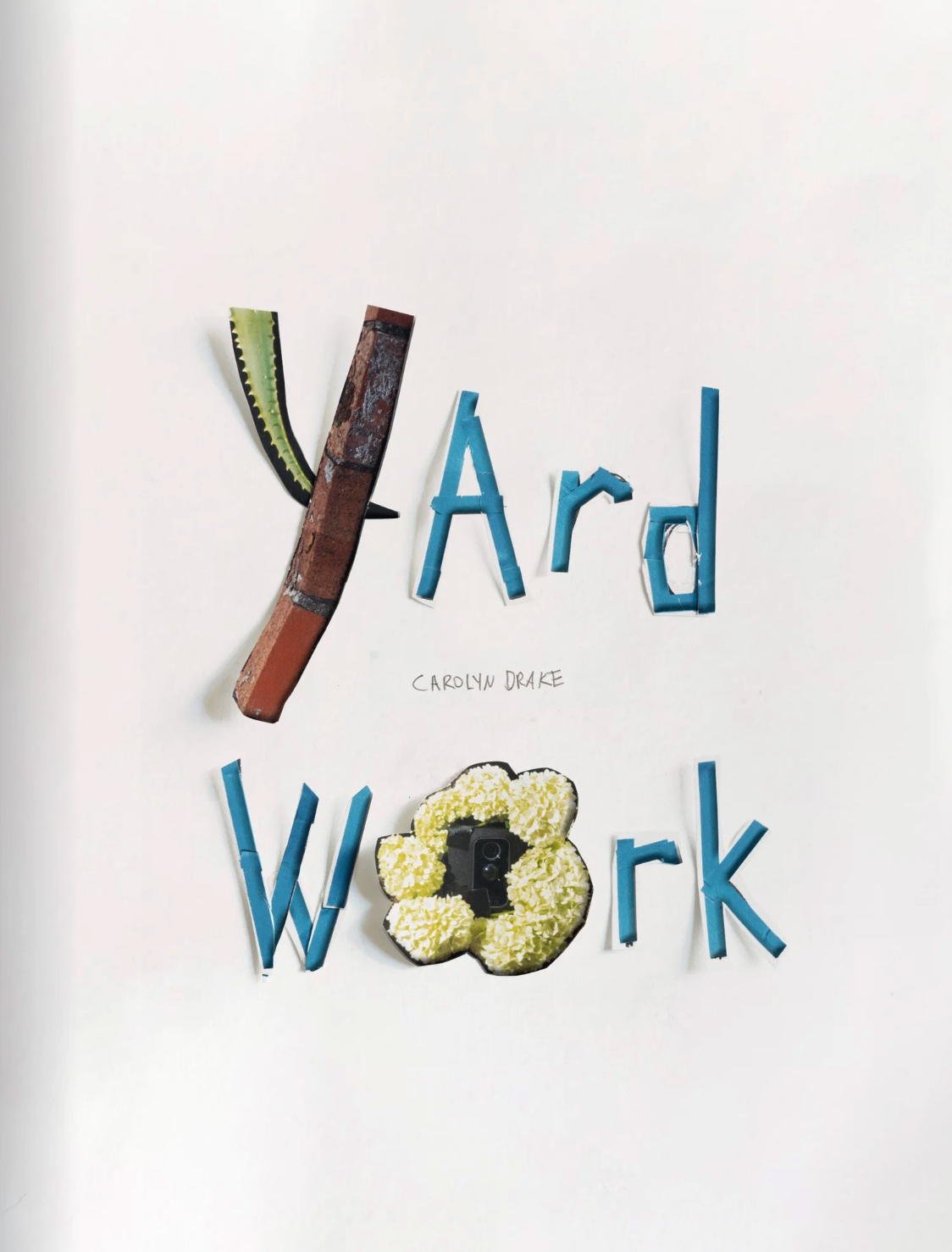 キャロリン・ドレイク 写真集: Carolyn Drake: Yard Work
