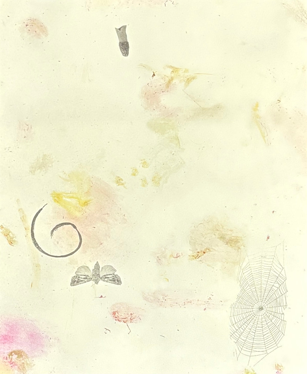 ピア=ポーリナ・ギルモス 写真集: PIA-PAULINA GUILMOTH: At Night Gardens Grow