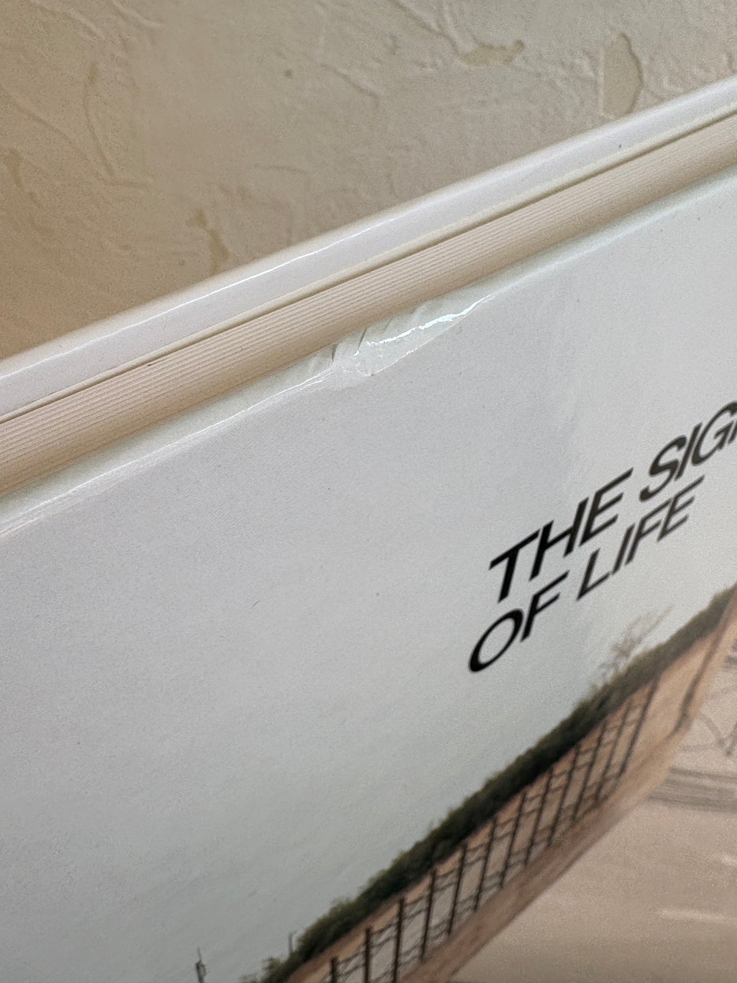 【古本】清野賀子写真集: YOSHIKO SEINO: THE SIGN OF LIFE