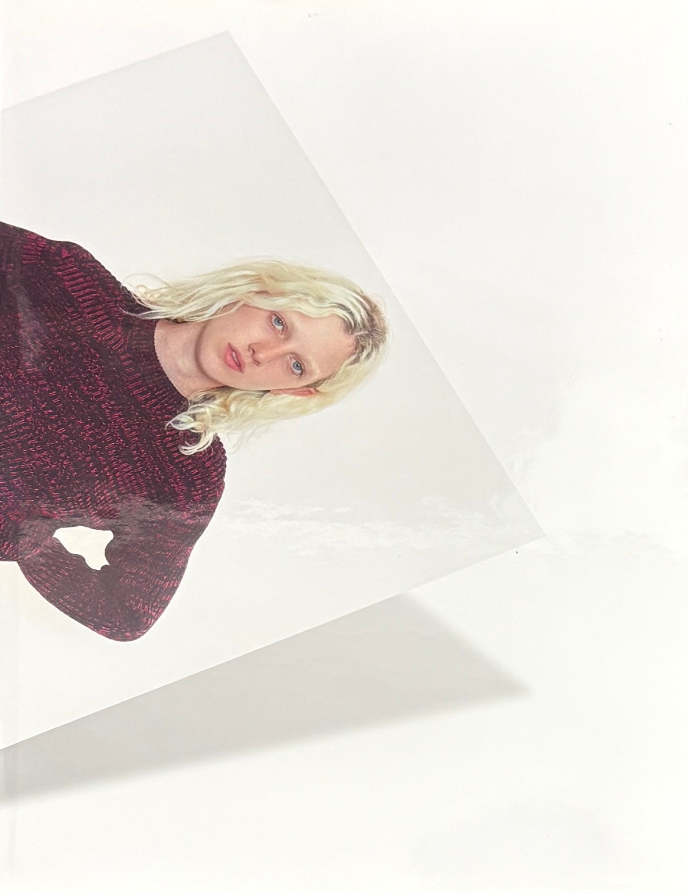 click-to-buy　David Sims　デヴィッド・シムズ　直筆サイン 古本】デヴィッド・シムズ 写真集: David Sims: Click-To-Buy