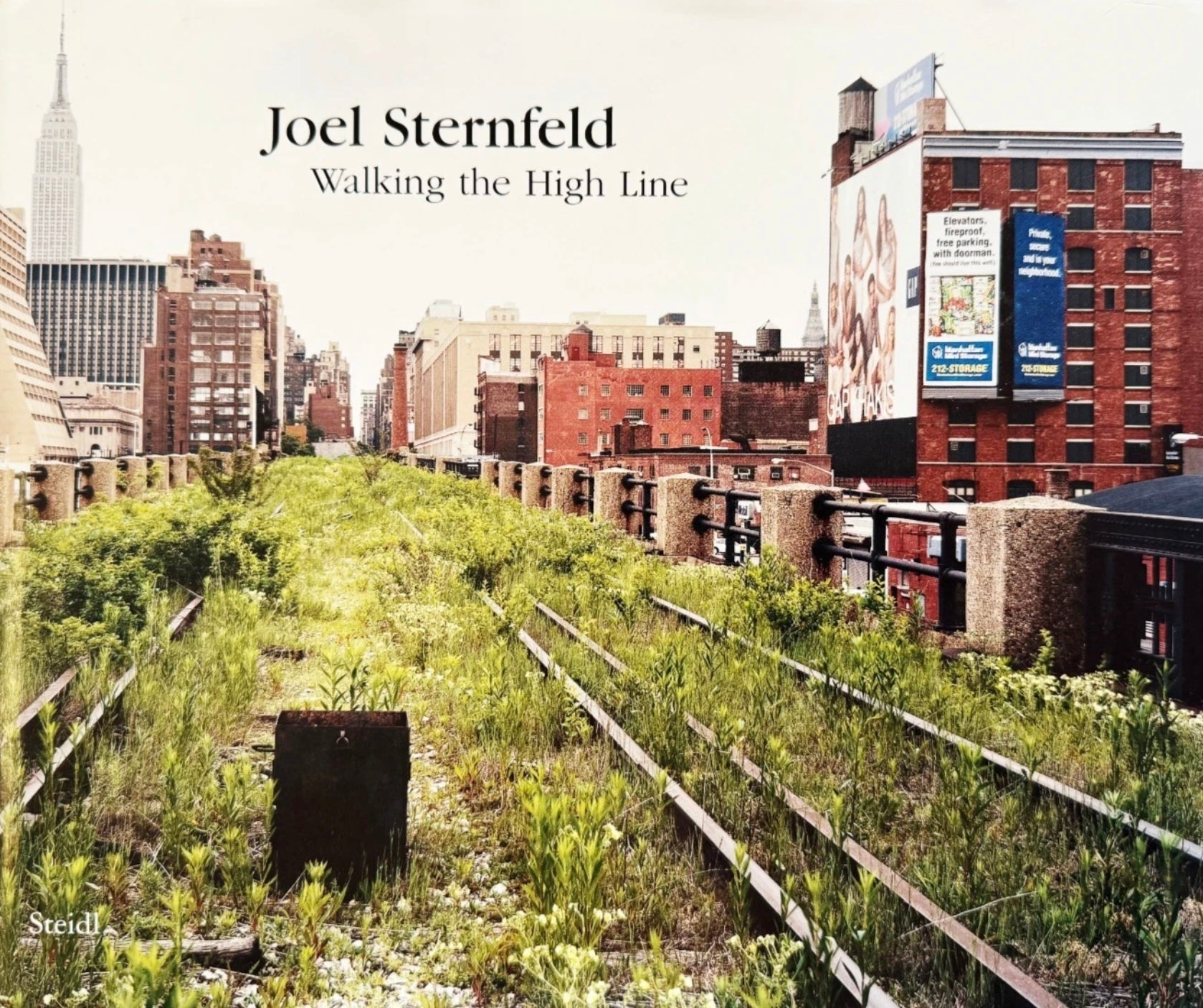 ジョエル・スターンフェルド 写真集: Joel Sternfeld: Walking the