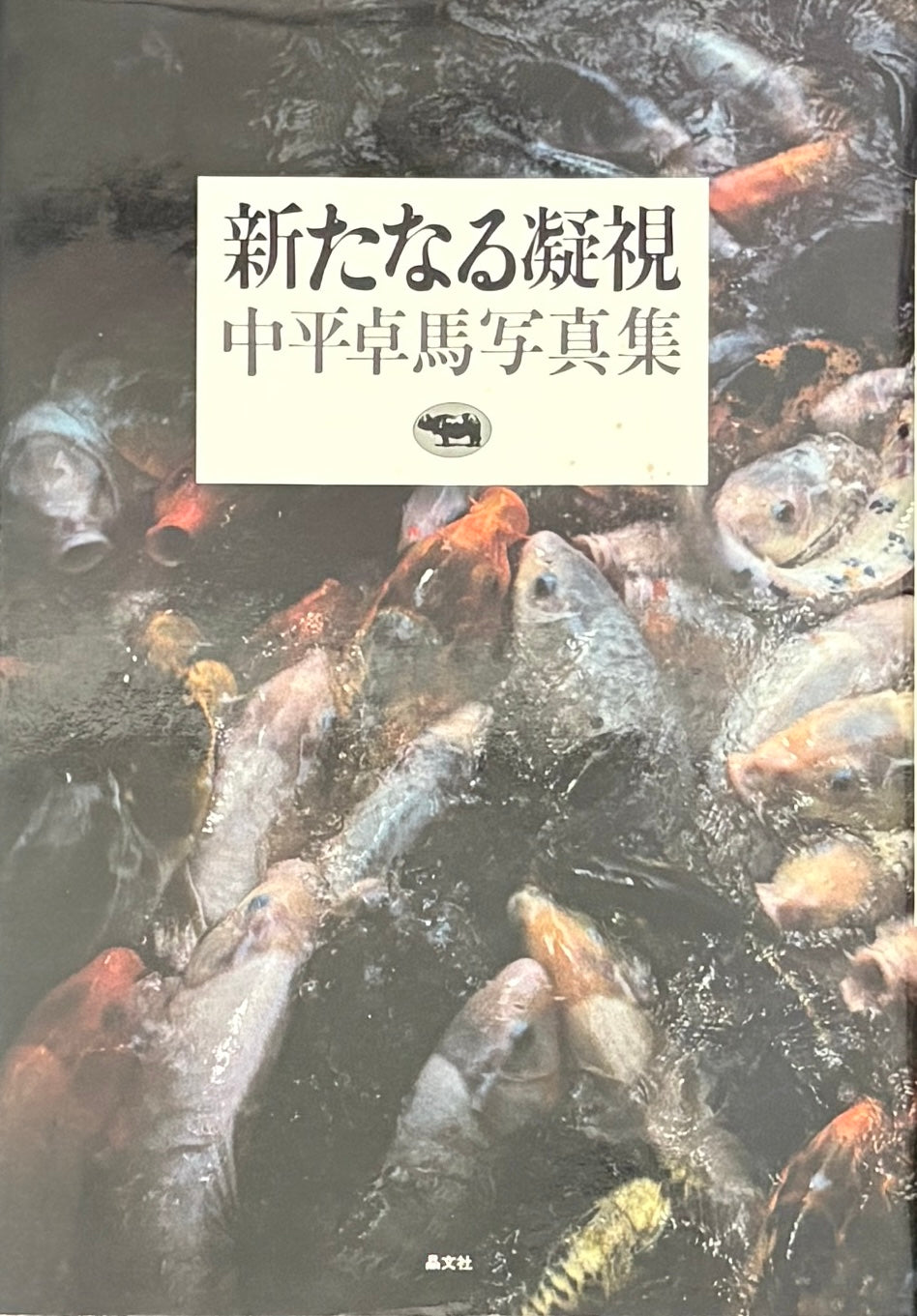 中平卓馬写真集 新たなる凝視 古本 - TAKUMA NAKAHIRA 日本写真家