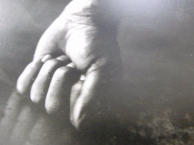 サリー・マン写真集 Sally Mann Proud Flesh 0558