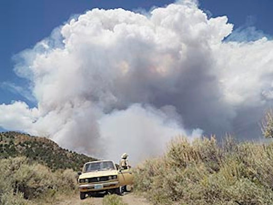 【古本】ルーカス・フォグリア 写真集: LUCAS FOGLIA: FRONTCOUNTRY