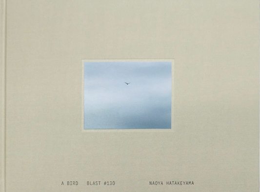 畠山直哉 写真集: Naoya Hatakeyama: A BIRD Blast #130