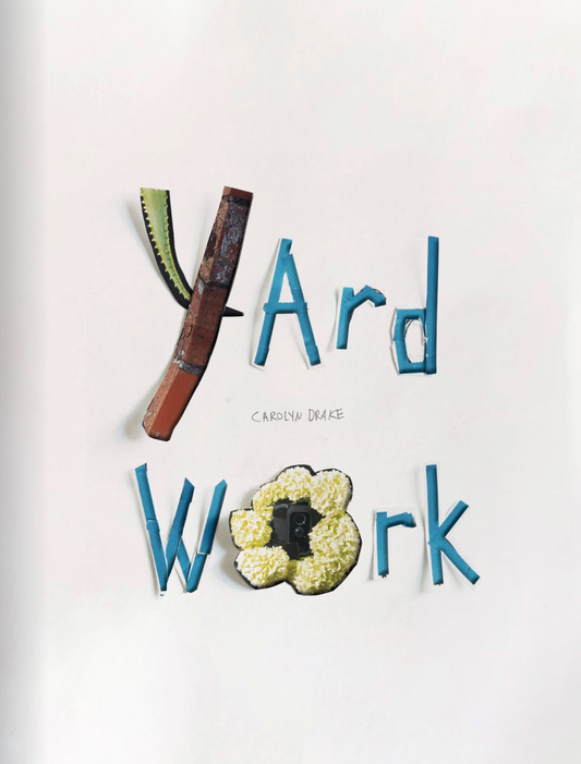 キャロリン・ドレイク 写真集: Carolyn Drake: Yard Work