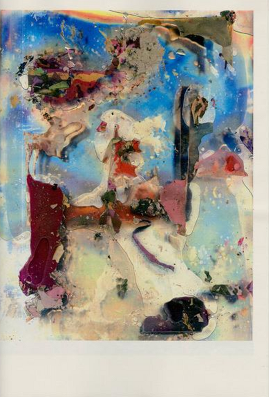 横田大輔 作品集: DAISUKE YOKOTA: Photographs / Anatomy