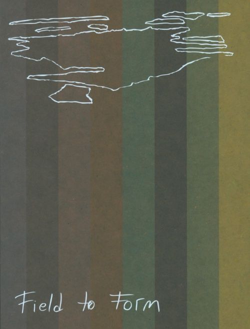 アイリーン・コペルマン 作品集: IRENE KOPELMAN: FIELD TO FORM