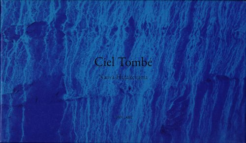 【古本】畠山直哉 写真集: Naoya Hatakeyama: Ciel Tombé [限定版]