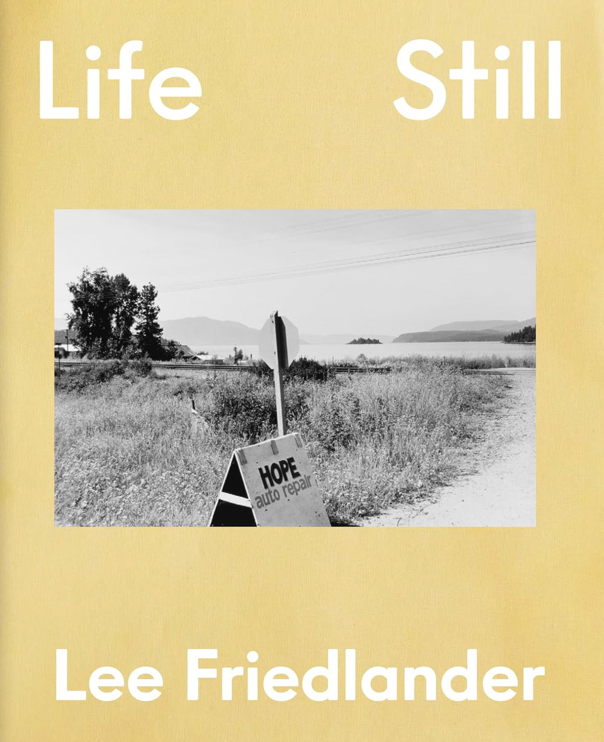 リー・フリードランダー 写真集: Lee Friedlander: Life Still