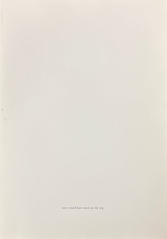 【古本】トーマス・ヴァンデンベルゲ 作品集: Thomas Vandenberghe: Sorry Would Have Saved Me the Trip