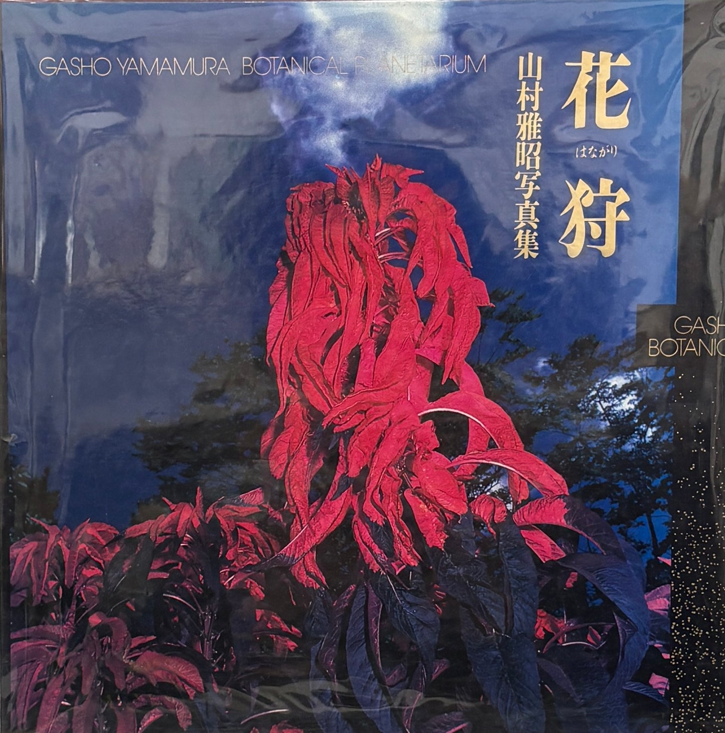 GASHO YAMAMURA: BOTANICAL PLANETARIUM 花狩