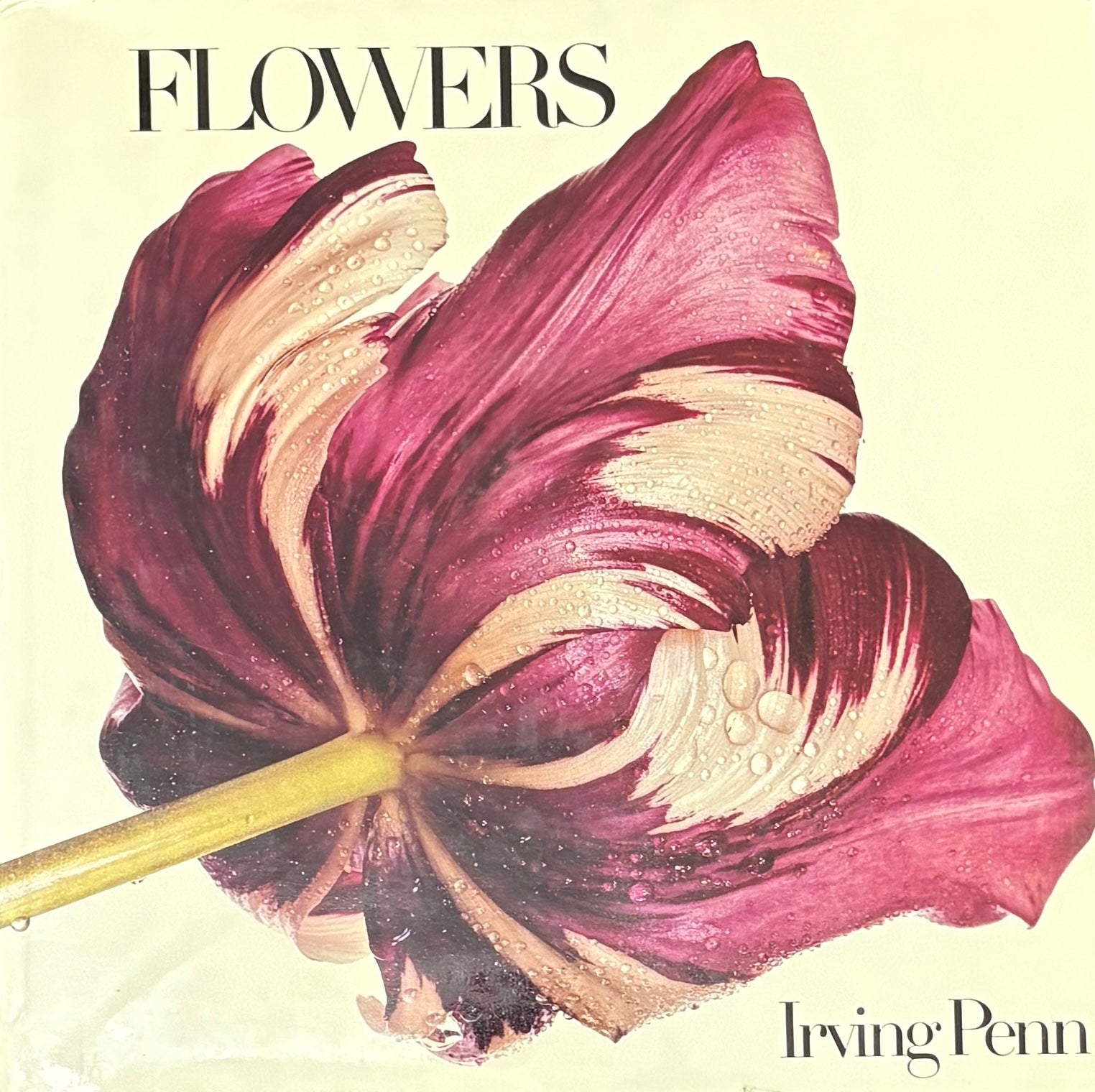 【未開封】Irving Penn Flowers アーヴィングペン 写真集 アーヴィング・ペン: IRVING PENN: FLOWERS | Irving Penn | Harmony