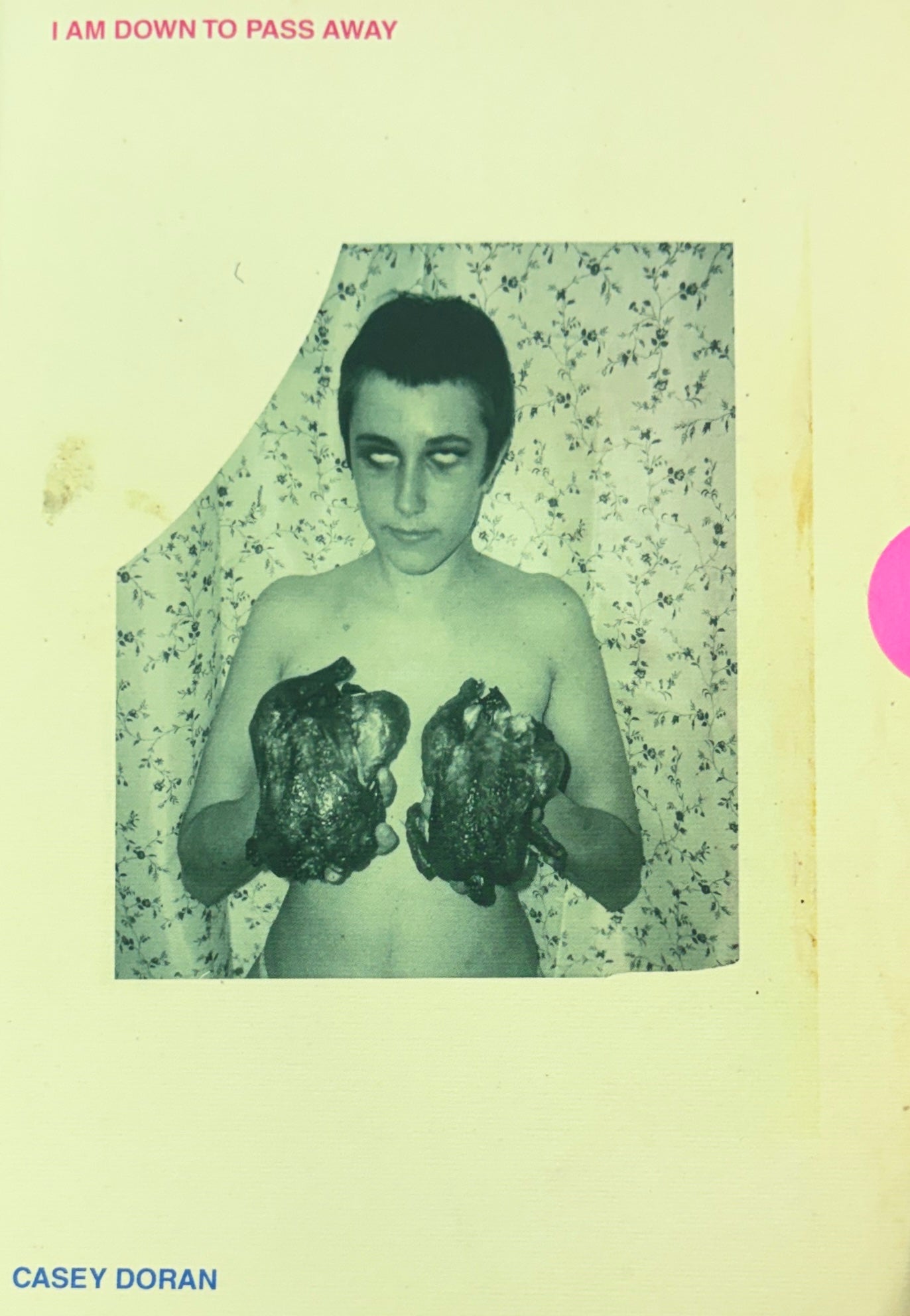 ケイシー・ドーラン 作品集: Casey Doran: I Am Down to Pass Away