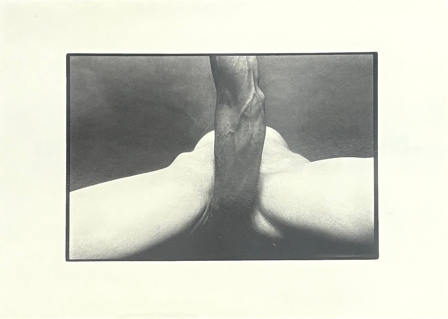 【古本】細江英公 写真集: 「抱擁」と「薔薇刑」: EIKO HOSOE: Embrace and Ordeal By Roses 【サイン入】