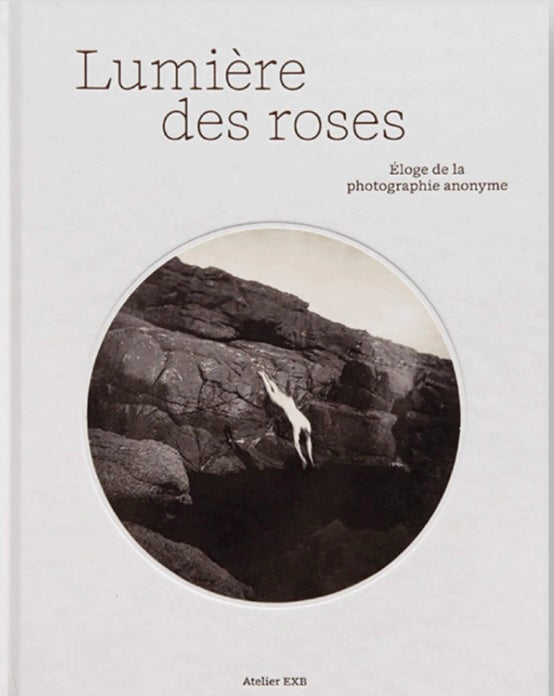 マリオン & フィリップ・ジャキエ 編集写真集: MARION & PHILIPPE JACQUIER: Lumière des roses