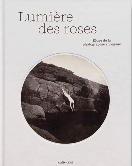 マリオン & フィリップ・ジャキエ 編集写真集: MARION & PHILIPPE JACQUIER: Lumière des roses