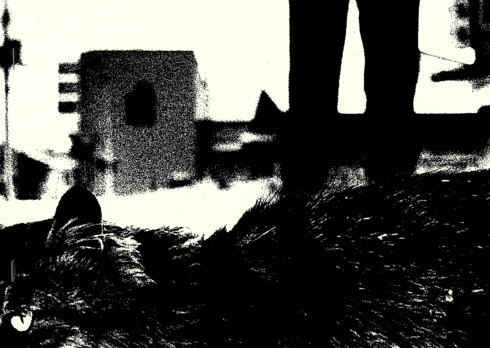 【古本】森山大道 作品集: DAIDO MORIYAMA: Stray Cats