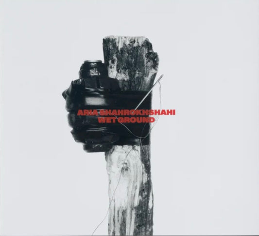 アリア・シャロクシャヒ 写真集: Aria Shahrokhshahi: Wet Ground