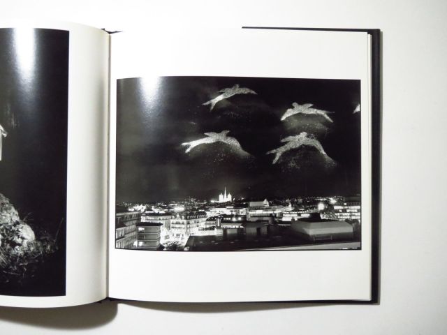 EVGEN BAVCAR : NOSTALGIA DELLA LUCE