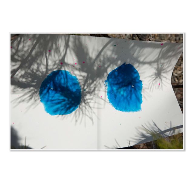 ヴィヴィアン・サッセン写真集 : VIVIANE SASSEN : ROXANE II 新作登場 ヴィヴィアンサッセン Sassen Viviane 未開封 ROXANEⅡ 写真